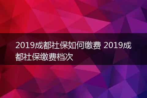 2019成都社保如何缴费 2019成都社保缴费档次