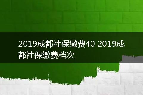 2019成都社保缴费40 2019成都社保缴费档次