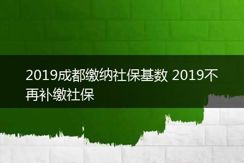 2019成都缴纳社保基数 2019不再补缴社保