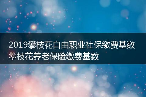 2019攀枝花自由职业社保缴费基数 攀枝花养老保险缴费基数