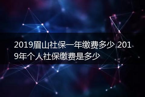 2019眉山社保一年缴费多少 2019年个人社保缴费是多少