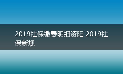 2019社保缴费明细资阳 2019社保新规