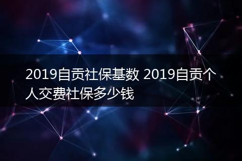 2019自贡社保基数 2019自贡个人交费社保多少钱