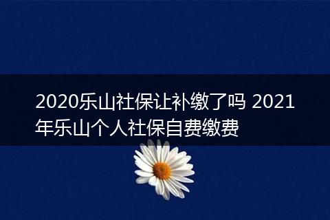 2020乐山社保让补缴了吗 2021年乐山个人社保自费缴费