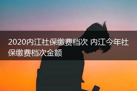 2020内江社保缴费档次 内江今年社保缴费档次金额