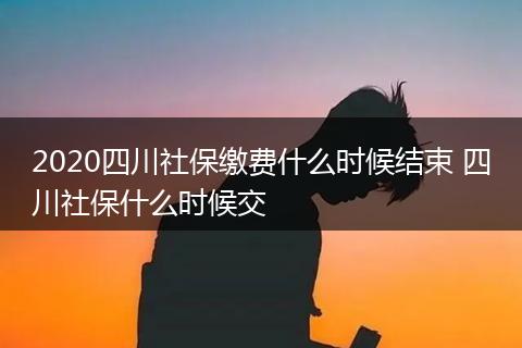 2020四川社保缴费什么时候结束 四川社保什么时候交