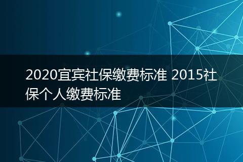 2020宜宾社保缴费标准 2015社保个人缴费标准