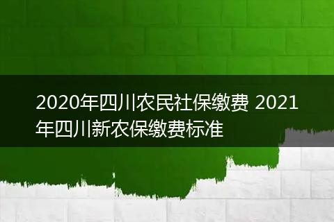 2020年四川农民社保缴费 2021年四川新农保缴费标准