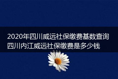 2020年四川威远社保缴费基数查询 四川内江威远社保缴费是多少钱