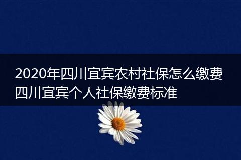 2020年四川宜宾农村社保怎么缴费 四川宜宾个人社保缴费标准
