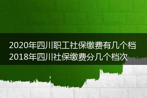 2020年四川职工社保缴费有几个档 2018年四川社保缴费分几个档次