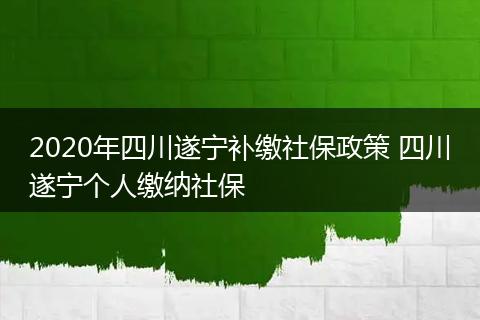 2020年四川遂宁补缴社保政策 四川遂宁个人缴纳社保