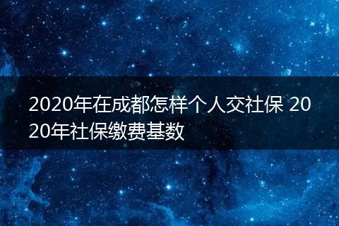 2020年在成都怎样个人交社保 2020年社保缴费基数