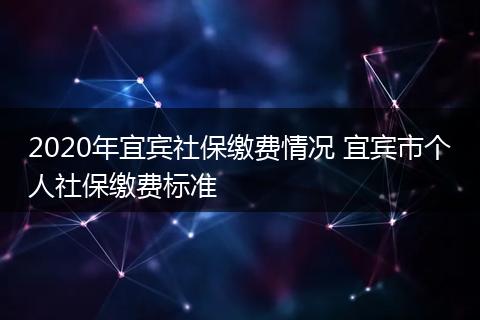 2020年宜宾社保缴费情况 宜宾市个人社保缴费标准