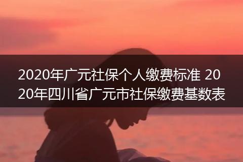 2020年广元社保个人缴费标准 2020年四川省广元市社保缴费基数表