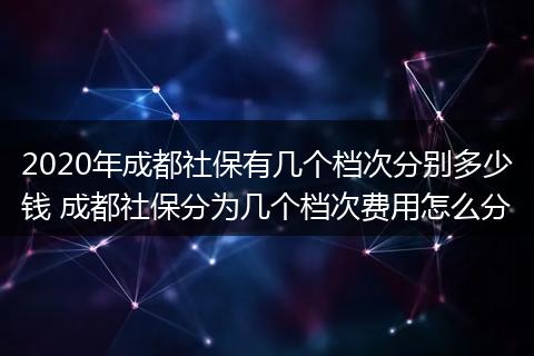 2020年成都社保有几个档次分别多少钱 成都社保分为几个档次费用怎么分