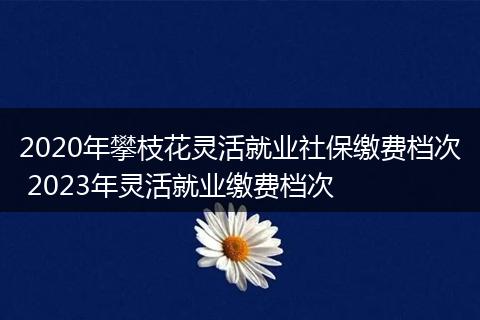 2020年攀枝花灵活就业社保缴费档次 2023年灵活就业缴费档次