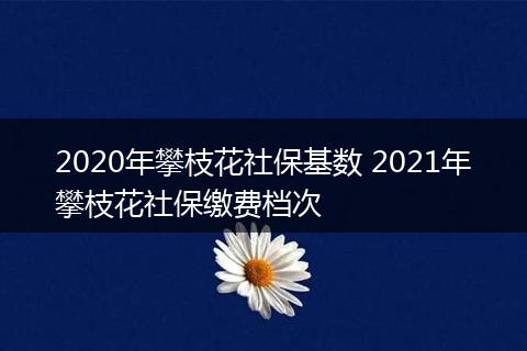 2020年攀枝花社保基数 2021年攀枝花社保缴费档次