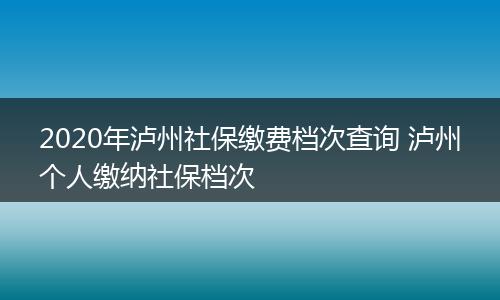 2020年泸州社保缴费档次查询 泸州个人缴纳社保档次