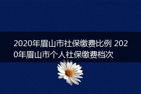 2020年眉山市社保缴费比例 2020年眉山市个人社保缴费档次