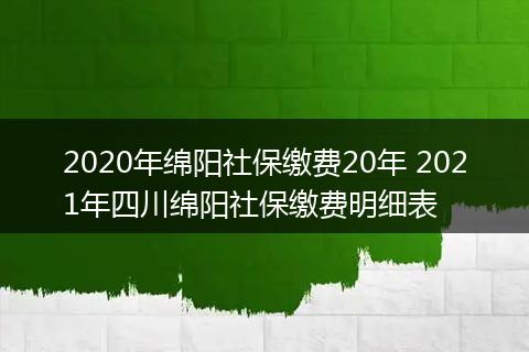 2020年绵阳社保缴费20年 2021年四川绵阳社保缴费明细表