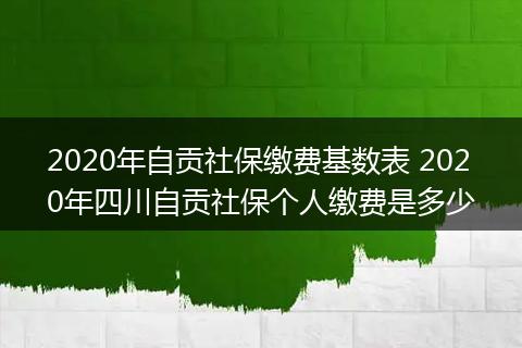 2020年自贡社保缴费基数表 2020年四川自贡社保个人缴费是多少