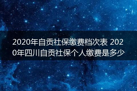 2020年自贡社保缴费档次表 2020年四川自贡社保个人缴费是多少