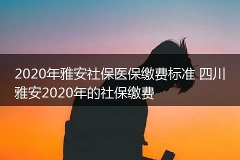 2020年雅安社保医保缴费标准 四川雅安2020年的社保缴费