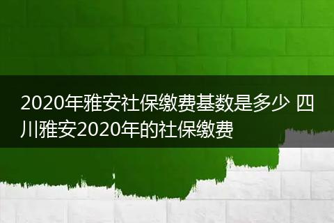 2020年雅安社保缴费基数是多少 四川雅安2020年的社保缴费