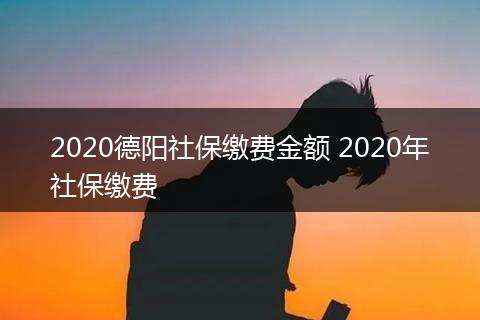 2020德阳社保缴费金额 2020年社保缴费