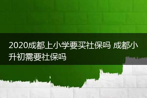 2020成都上小学要买社保吗 成都小升初需要社保吗