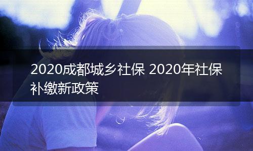 2020成都城乡社保 2020年社保补缴新政策