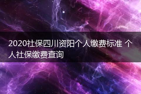 2020社保四川资阳个人缴费标准 个人社保缴费查询