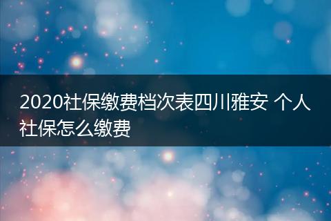 2020社保缴费档次表四川雅安 个人社保怎么缴费