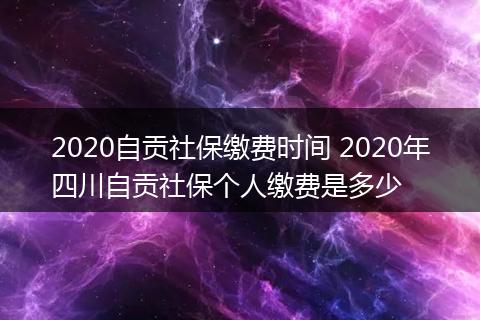 2020自贡社保缴费时间 2020年四川自贡社保个人缴费是多少