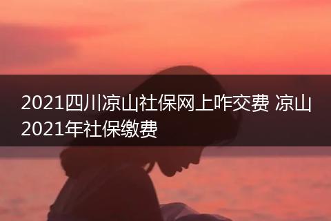 2021四川凉山社保网上咋交费 凉山2021年社保缴费