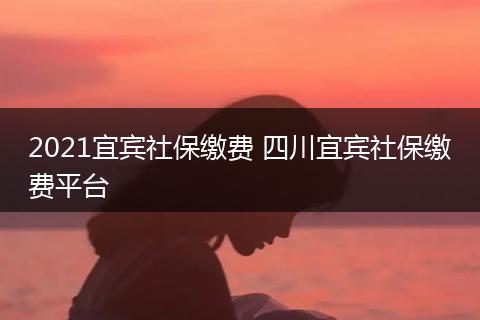 2021宜宾社保缴费 四川宜宾社保缴费平台