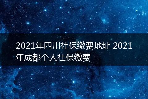 2021年四川社保缴费地址 2021年成都个人社保缴费