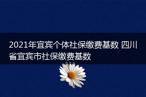 2021年宜宾个体社保缴费基数 四川省宜宾市社保缴费基数