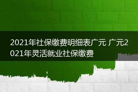 2021年社保缴费明细表广元 广元2021年灵活就业社保缴费