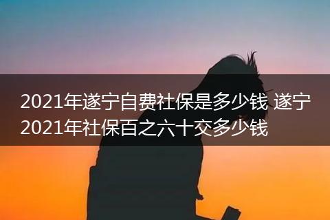 2021年遂宁自费社保是多少钱 遂宁2021年社保百之六十交多少钱