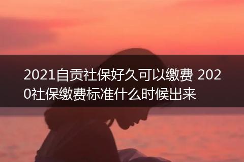 2021自贡社保好久可以缴费 2020社保缴费标准什么时候出来
