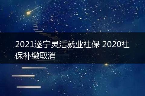 2021遂宁灵活就业社保 2020社保补缴取消
