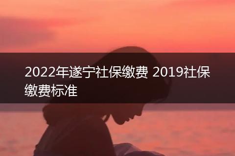 2022年遂宁社保缴费 2019社保缴费标准