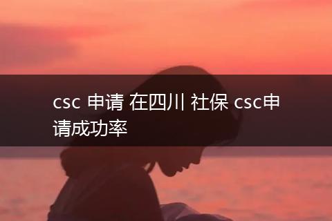 csc 申请 在四川 社保 csc申请成功率