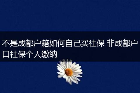 不是成都户籍如何自己买社保 非成都户口社保个人缴纳