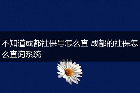 不知道成都社保号怎么查 成都的社保怎么查询系统