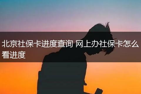 北京社保卡进度查询 网上办社保卡怎么看进度