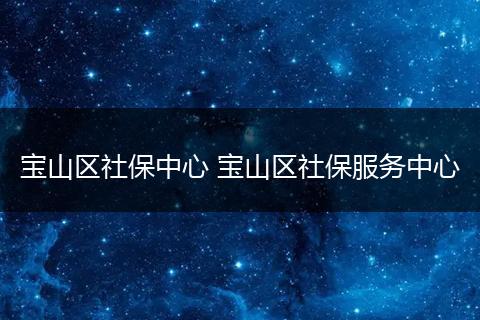 宝山区社保中心 宝山区社保服务中心