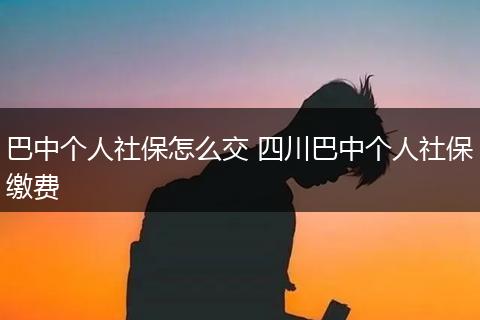 巴中个人社保怎么交 四川巴中个人社保缴费